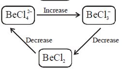 Option B