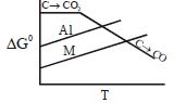 Option C