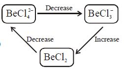 Option C