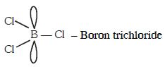 Option D