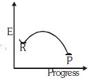 Option B
