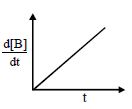 Option B