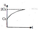 Option B