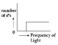 Option B