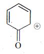 Option C