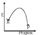 Option C