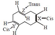 Solution diagram