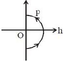 Option C