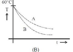 Option B
