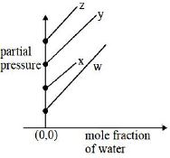 Option B