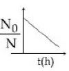 Option B