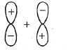 Option B