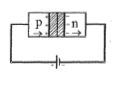 Option B