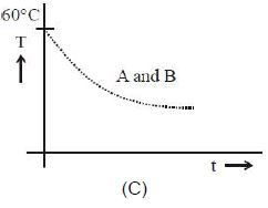Option C
