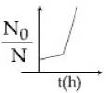 Option C