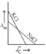 Option C