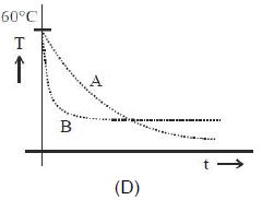 Option D
