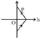 Option D