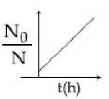 Option D