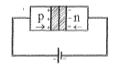 Option D