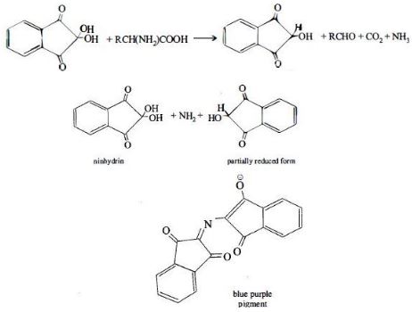 Solution diagram