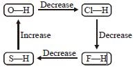 Option B