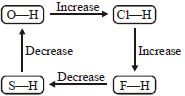 Option C