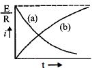 Option C