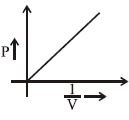 Option B