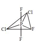 Option B
