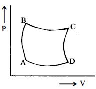 Option B