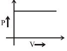 Option C