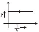 Option C