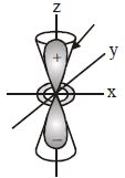 Option C