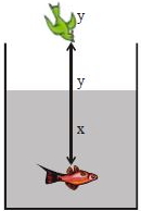 Solution diagram