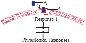 Question diagram