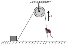 Question diagram