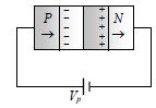 Option B