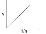Option B
