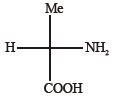 Option C