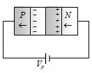 Option D