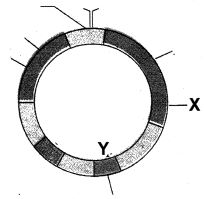 Question diagram