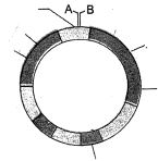 Question diagram