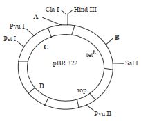 Question diagram