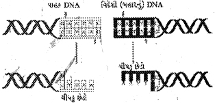 Question diagram