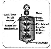 Question diagram