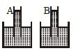 Option B