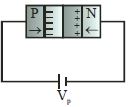 Option C