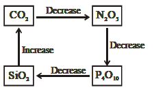 Option D
