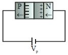 Option D